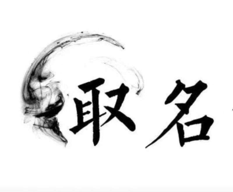  自贡市宝宝取名 大师一对一人工起名