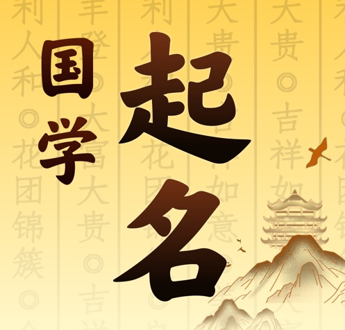 自贡市国学起名 人工起名一对一
