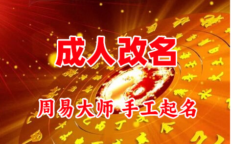 自贡市成人改名-找大师一对一改名先分析后改名